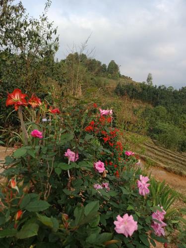 Long Chi?u Homestay