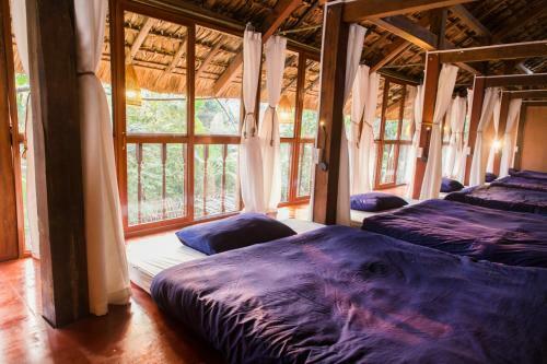 Albergue C? Home