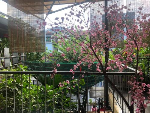 Bed & Breakfast Q' Garden Homestay Villa