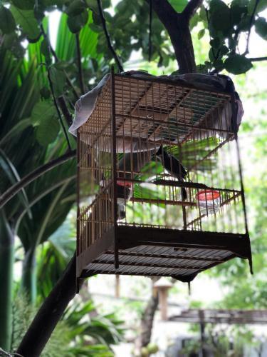 Bed & Breakfast Q' Garden Homestay Villa