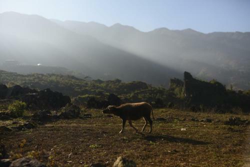 Bed & Breakfast T? Ph�n Cottage