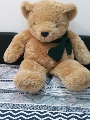 Apartamento Bear's Home