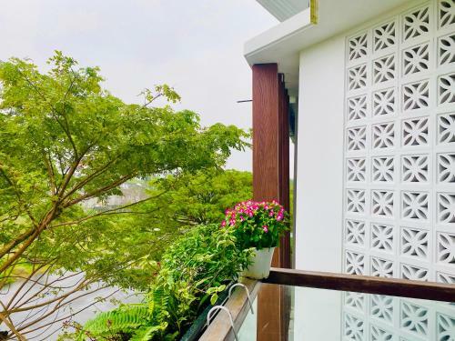 Cloudy Homestay Hoi An