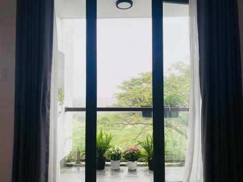 Cloudy Homestay Hoi An