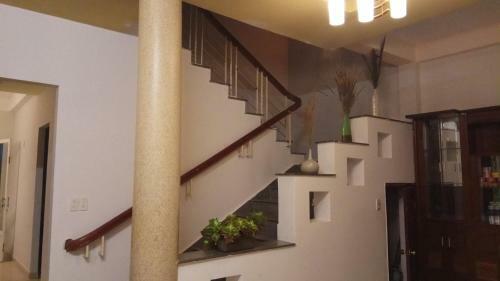 Panda's House Hostel