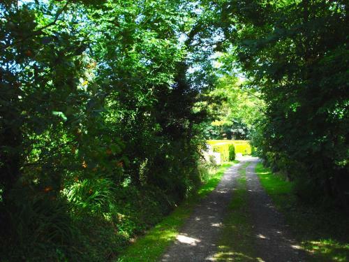 Bostrase B&B