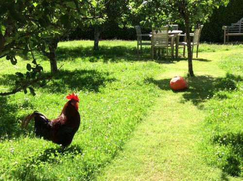 Bostrase B&B