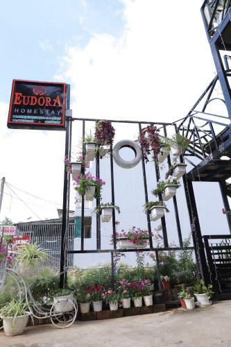Eudora Homestay