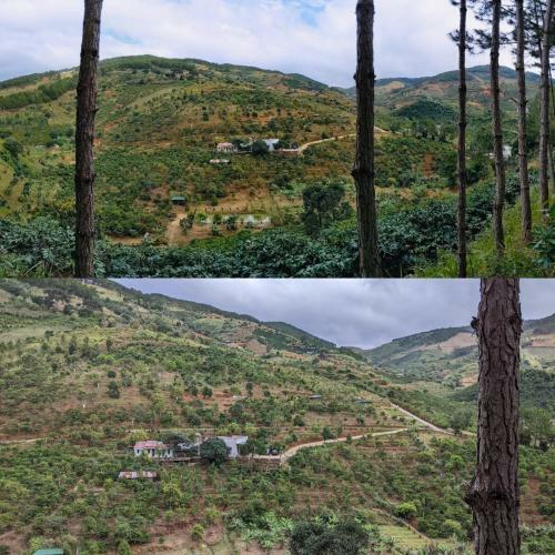 Agroturismo Ovi Coffee Farmstay ?� L?t
