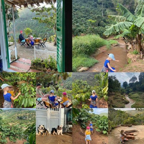 Agroturismo Ovi Coffee Farmstay ?� L?t