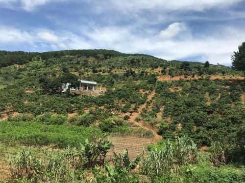 Agroturismo Ovi Coffee Farmstay ?� L?t