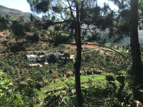 Agroturismo Ovi Coffee Farmstay ?� L?t