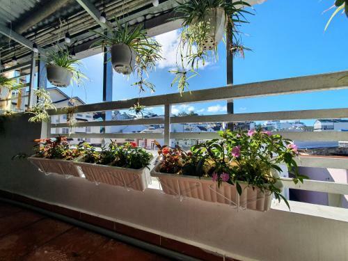 Apartamento Miri House
