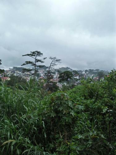 Apartamento Nh� C?a S�c