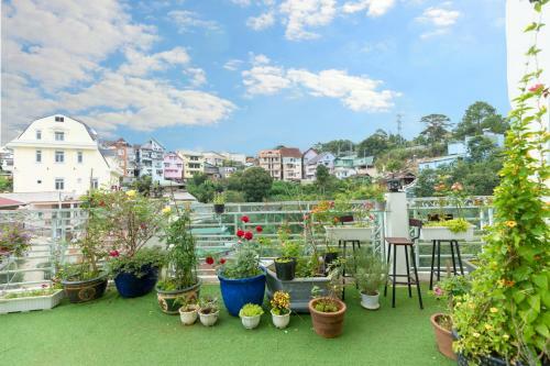 Gerbera Villa Hotel Da Lat