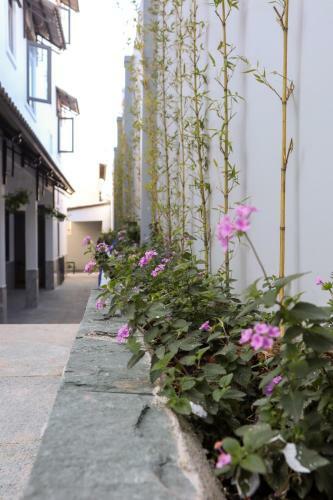 Hostal Villa Su?i M�a Xu�n