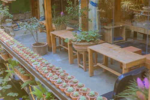Hostal G? Th�ng Homestay