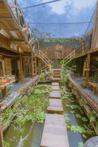 Hostal G? Th�ng Homestay