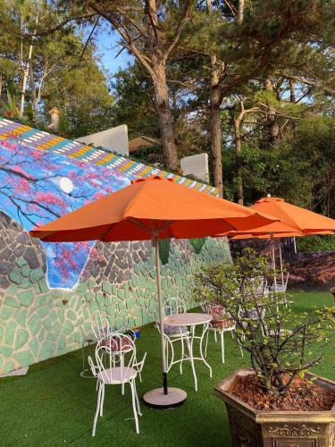 Bed & Breakfast Csltdl & Coffee S�n V??n V??ng B?o Long ?� L?t