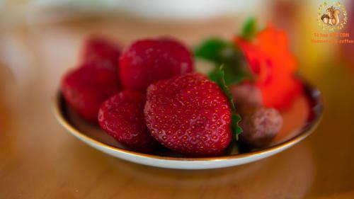 S�c Con Homestay & Coffee