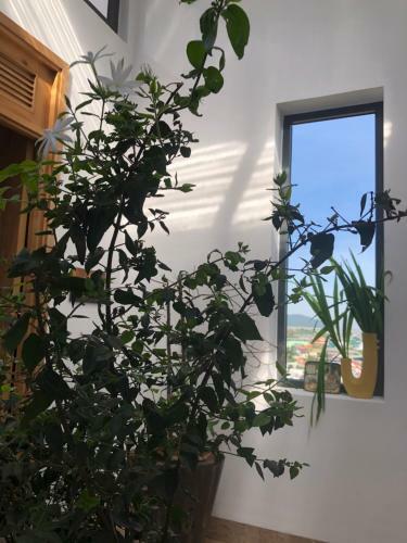 Trouvaille House
