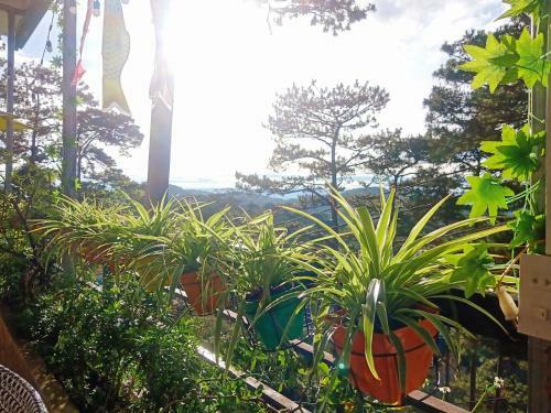 Hostal Icolor Da Lat