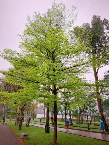 Mayhouse-may Sky View 42