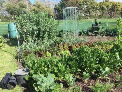 The Flower Nest Retreat