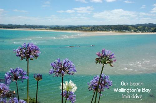 Hostal Ocean Purring View