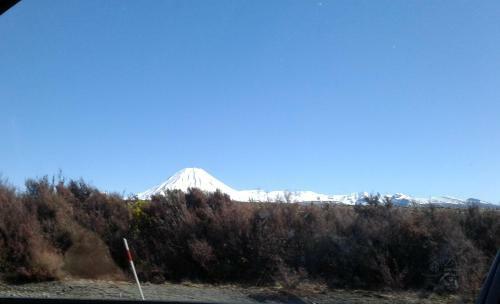 The Barn In Turangi