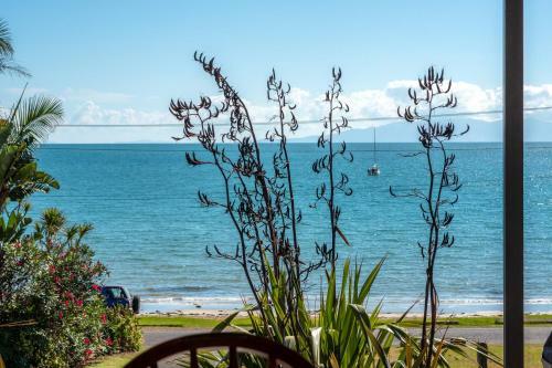 Oneroa Beachfront Apartment