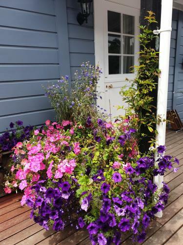 Hostal Cabins On Tudor Bed & Breakfast