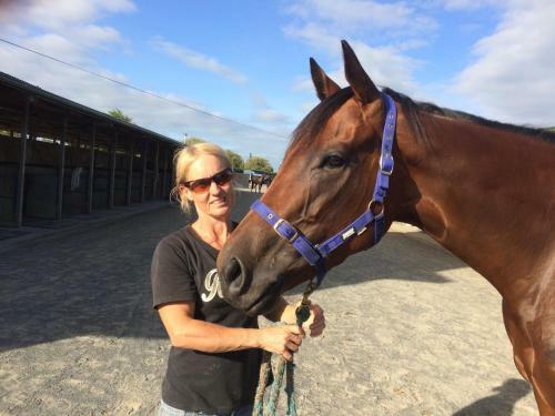 Bed & Breakfast Horseinaround