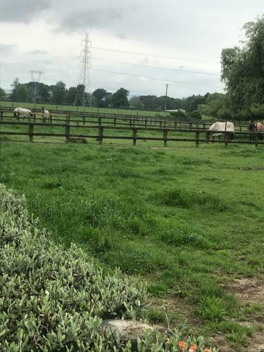 Bed & Breakfast Horseinaround