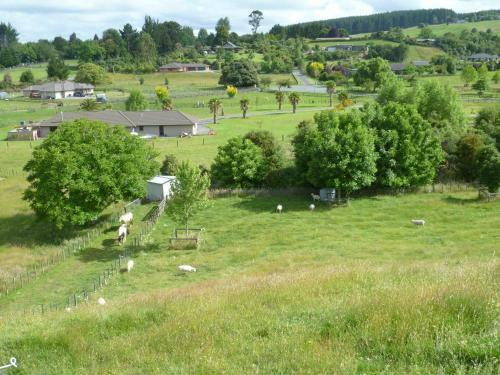 Bellarosa B&B