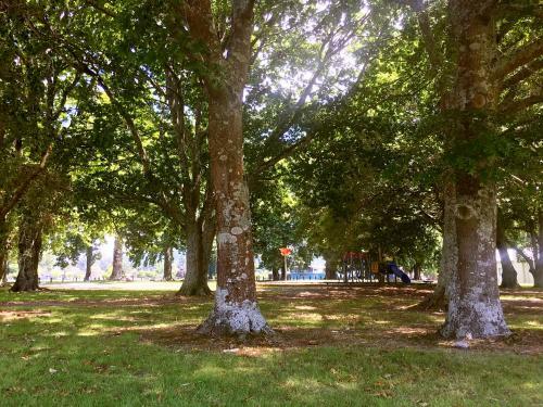 Rotorua City Center Holiday House