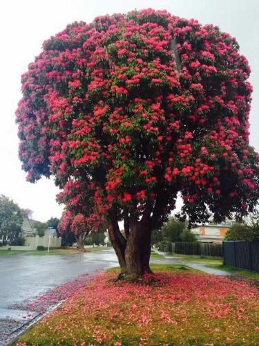 Rotorua City Center Holiday House