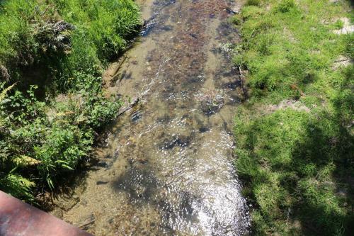 Unwind In Paradise Valley Trout At Your Door