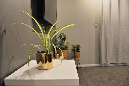 A Designer's House (Three Bedroom Holiday House)