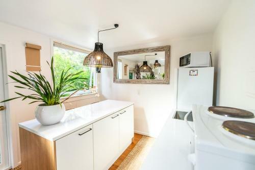 Boho Hill Waiheke Island