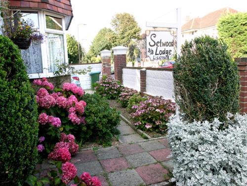 Hostal Selwood Lodge