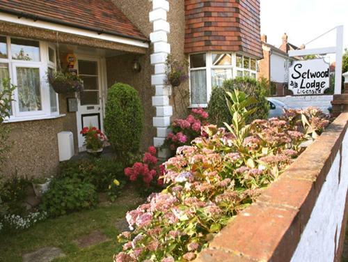 Hostal Selwood Lodge