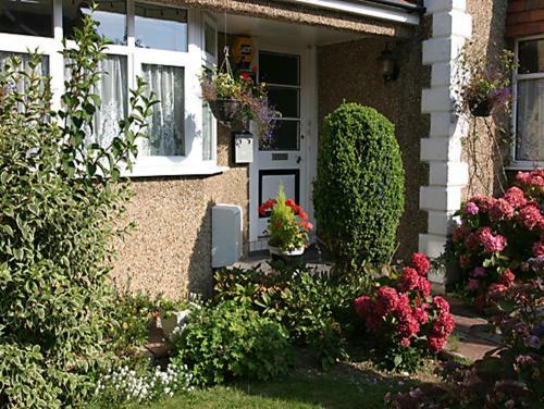 Hostal Selwood Lodge
