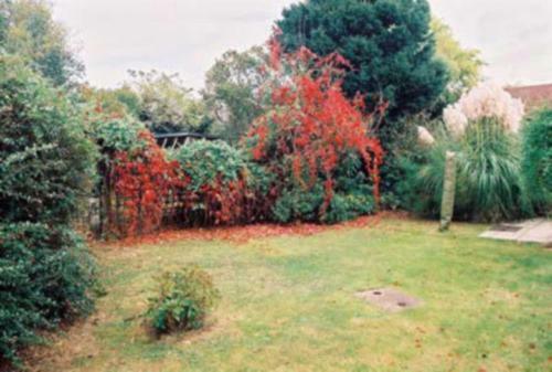 Culver Croft