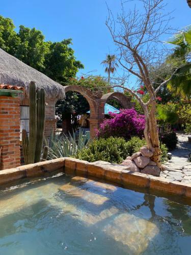 Bed & Breakfast Casa Xochitl