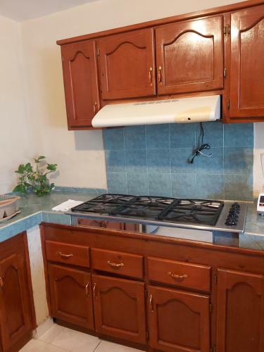 Apartamento Casa Entera C�ntrica