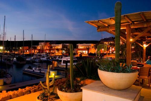 Unique Place On The Sea Of Cortez