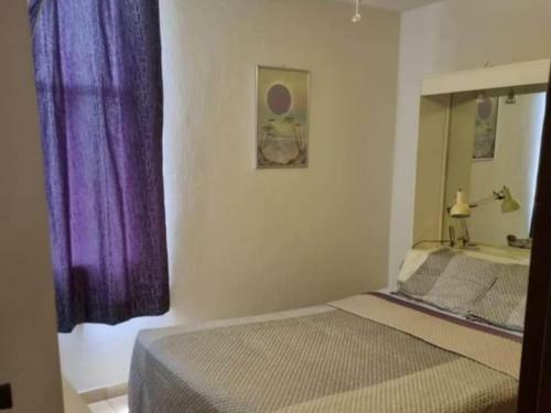 Apartamento Departamento Lg Zool�gico