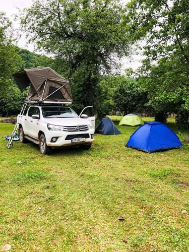 Dumbo Eco Camp