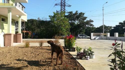Hostal Guest Hous Gio